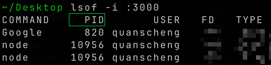 macos-lsof