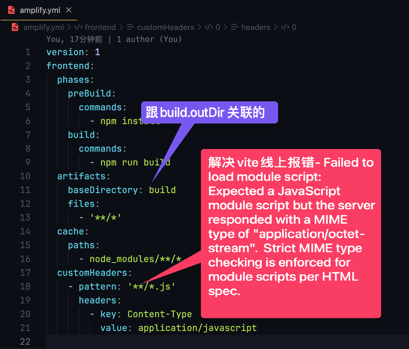 vite-amplify-error.png